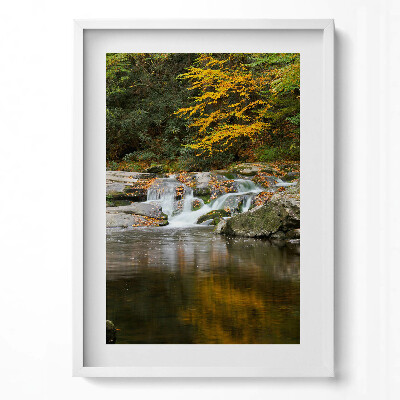 Obraz v rámu dekorativní Zelená krajina lesního potoka