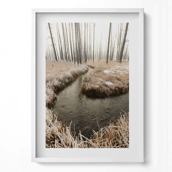 Obraz v rámu dekorativní Řeka v lese v zimě