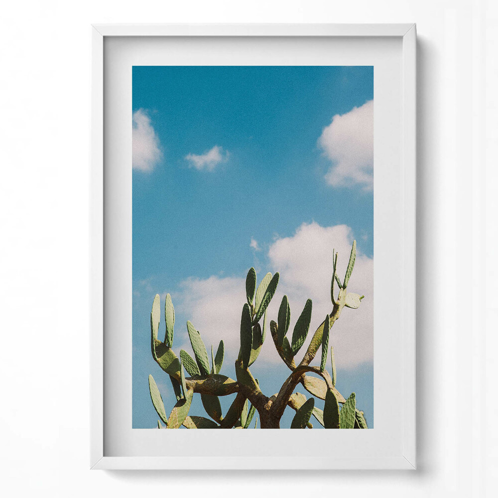 Obraz v rámu dekorativní Kaktus proti obloze