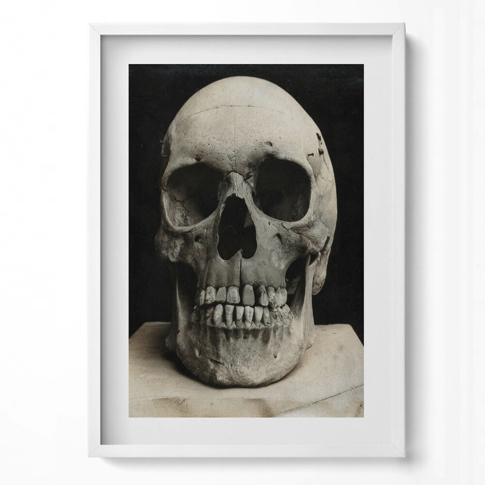 Obraz v rámu dekorativní Kostra lidské lebky