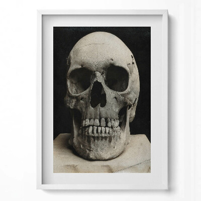 Obraz v rámu dekorativní Kostra lidské lebky