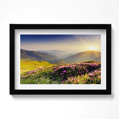 Obraz s rámem dekorativní Hory a květinová louka