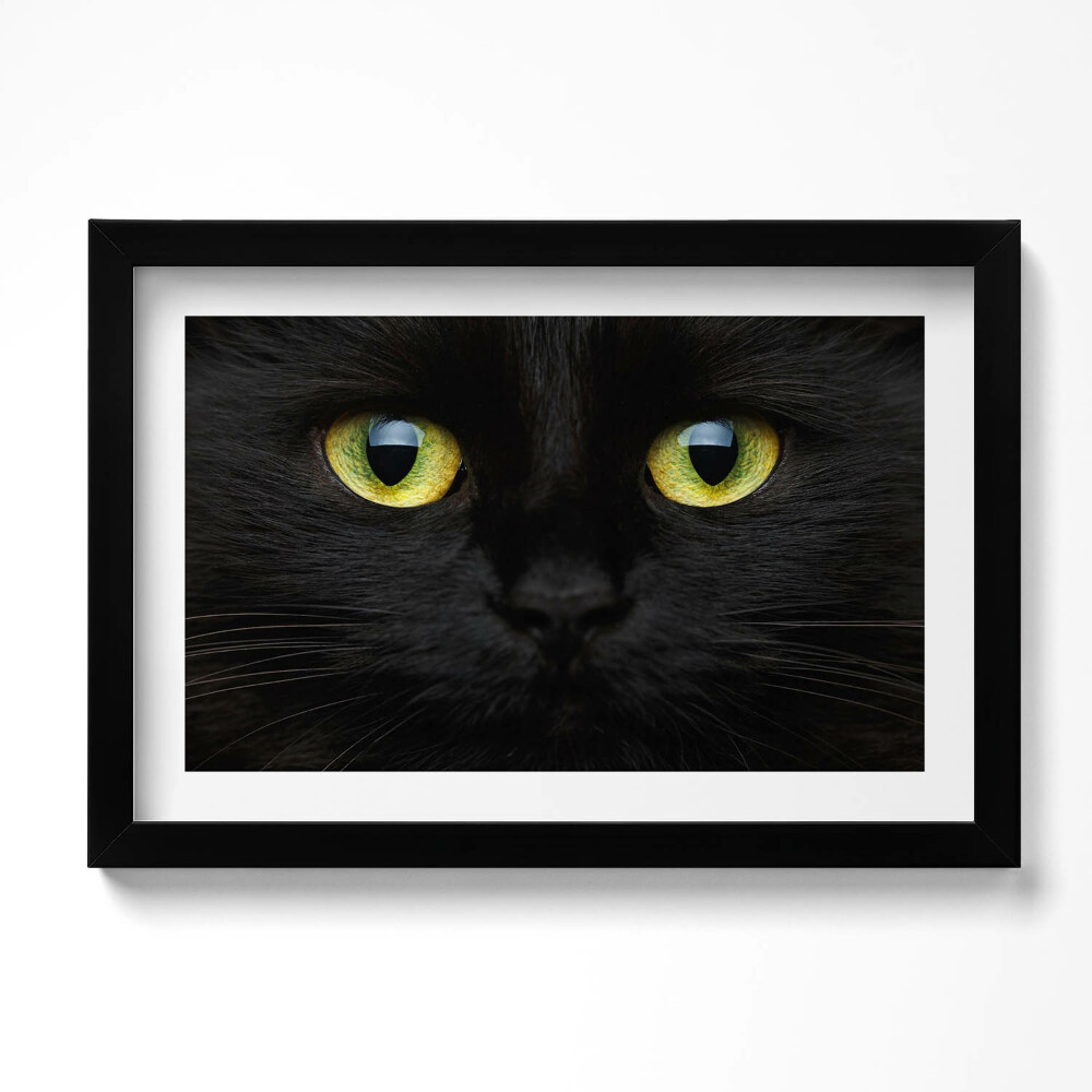 Obraz s rámem dekorativní Zvířecí kočičí oči
