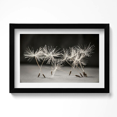 Obraz s rámem dekorativní Jemný pyl pampelišky