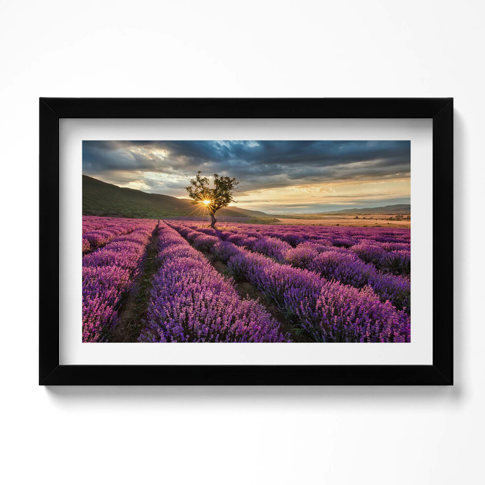 Obraz s rámem dekorativní Krajina levandulového pole