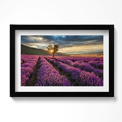 Obraz s rámem dekorativní Krajina levandulového pole