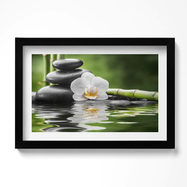 Obraz s rámem dekorativní Zen - bambusové kameny a květina na vodě