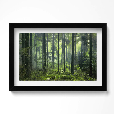 Obraz s rámem dekorativní Krajina stromů a lesní vegetace