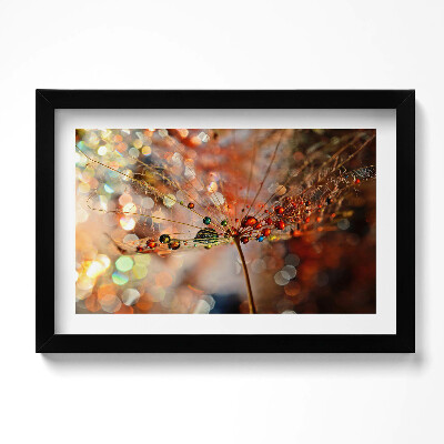 Obraz s rámem dekorativní Pampeliška a rosa