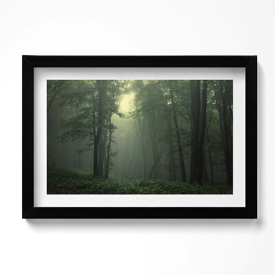 Obraz s rámem dekorativní Mlžný les ráno