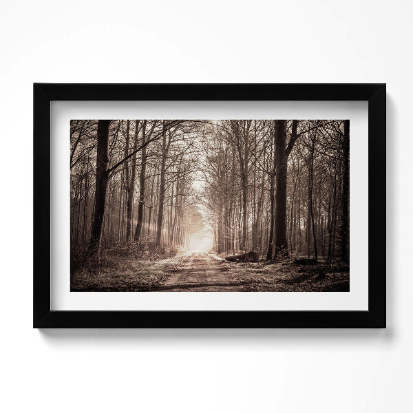 Obraz s rámem dekorativní Lesní cesta v sépiových barvách