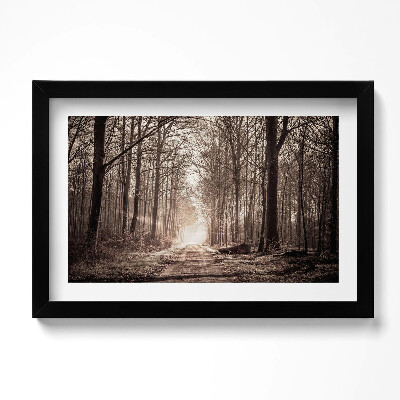 Obraz s rámem dekorativní Lesní cesta v sépiových barvách