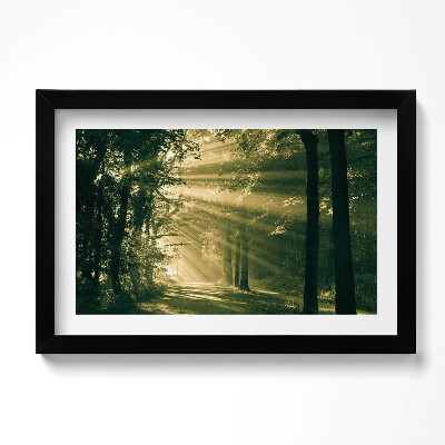 Obraz s rámem dekorativní Sluneční paprsky v lese