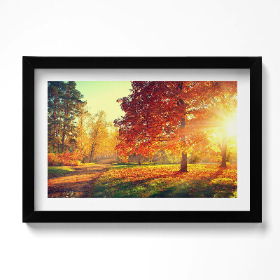 Obraz s rámem dekorativní Podzimní park