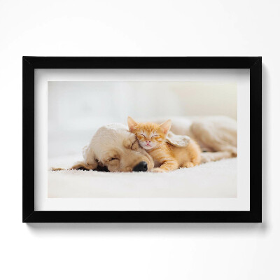 Obraz s rámem dekorativní Spící zvířata kočka a pes