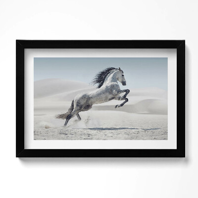 Obraz s rámem dekorativní Cválající bílý kůň
