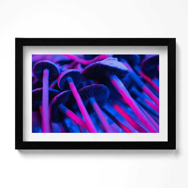 Obraz s rámem dekorativní Kouzelné barevné houby