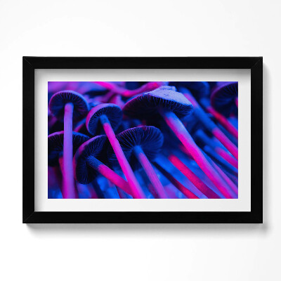 Obraz s rámem dekorativní Kouzelné barevné houby