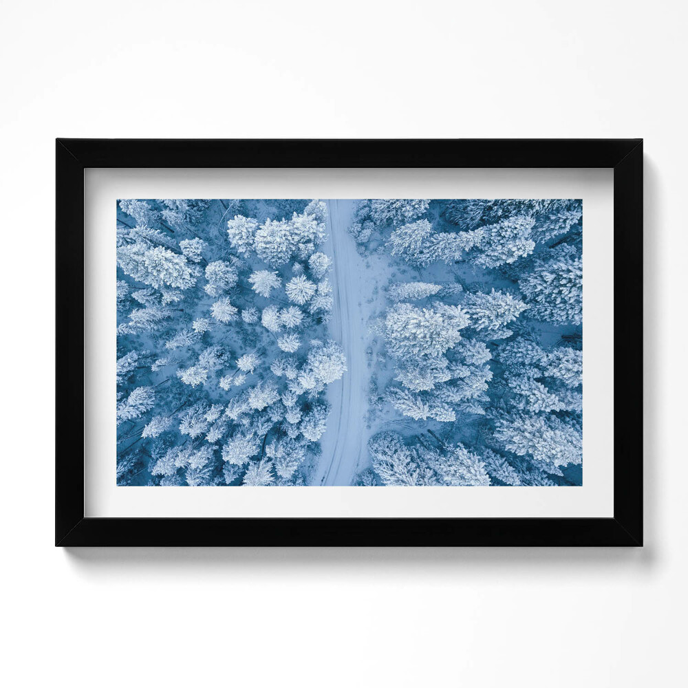 Obraz s rámem dekorativní Les z ptačí perspektivy