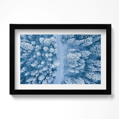 Obraz s rámem dekorativní Les z ptačí perspektivy