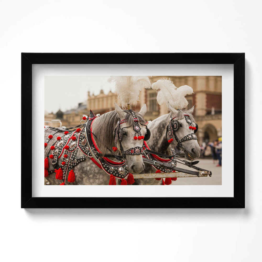 Obraz s rámem dekorativní Krásní koně v Krakově