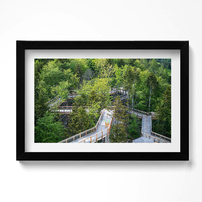 Obraz s rámem dekorativní Stezka v Krynici Zdrój