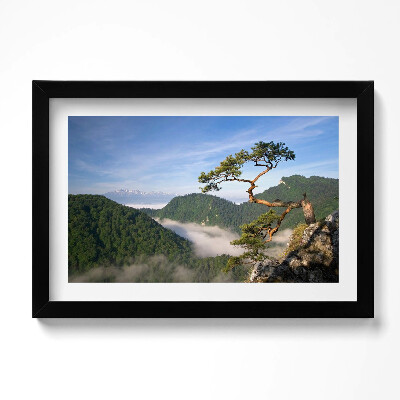 Obraz s rámem dekorativní Sokolica Wierch v Pieninách