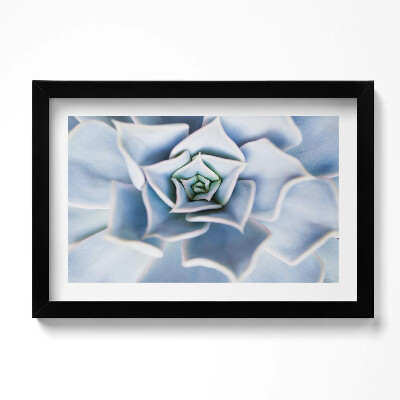 Obraz s rámem dekorativní Květinová rostlina