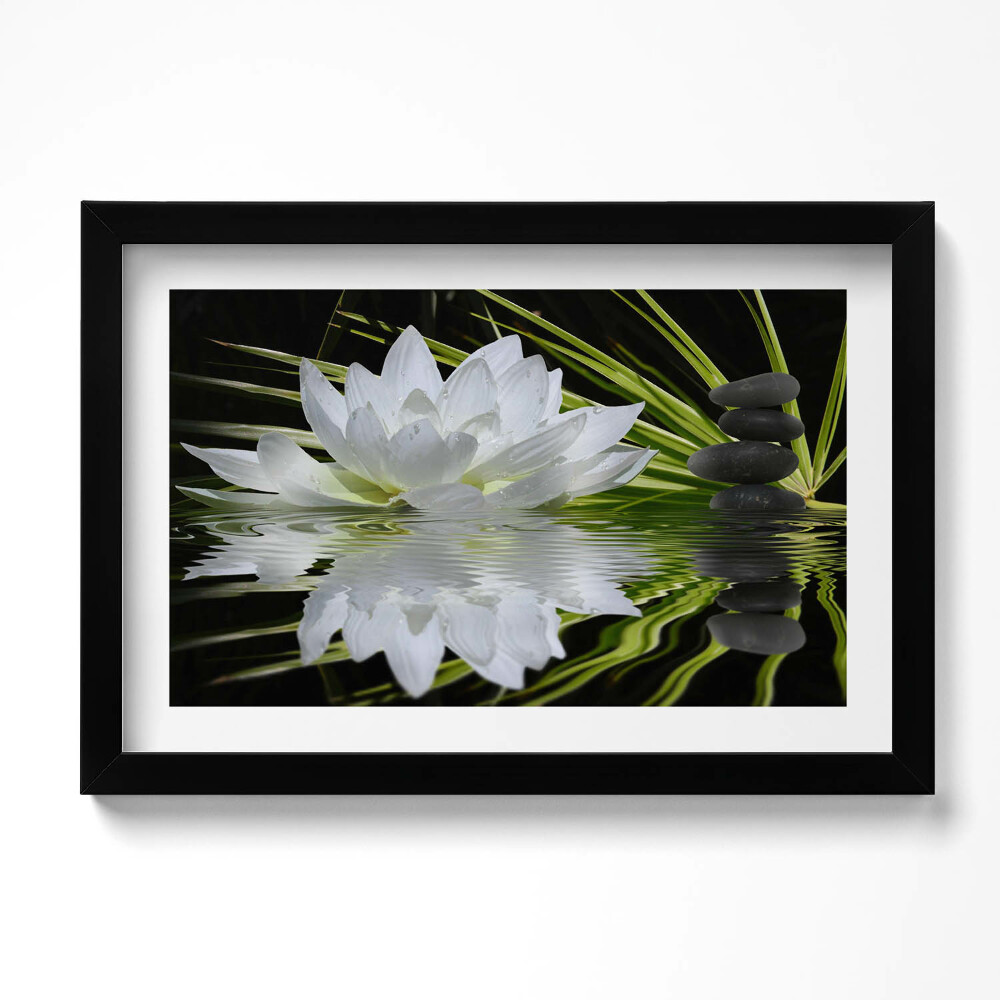 Obraz s rámem dekorativní Leknín a listy