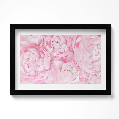 Obraz s rámem dekorativní Jemné pivoňky