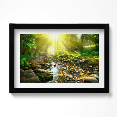 Obraz s rámem dekorativní Lesní potok ve slunečním světle