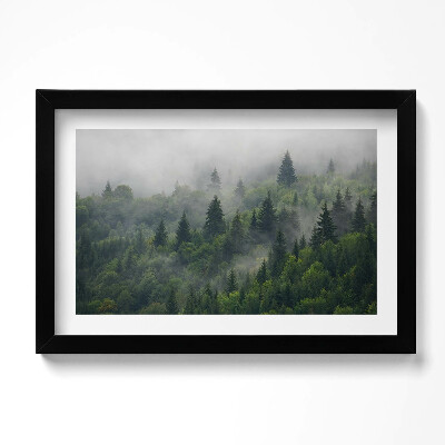 Obraz s rámem dekorativní Lesní krajina v mlze