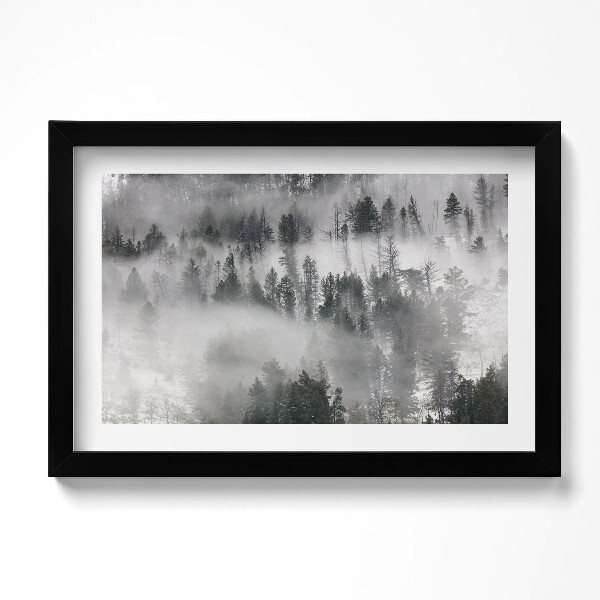 Obraz s rámem dekorativní Zamlžená lesní krajina