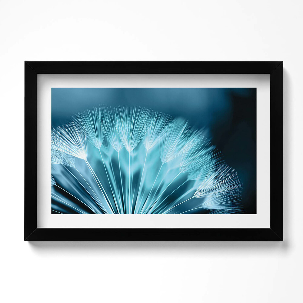 Obraz s rámem dekorativní Detailní záběr na pampelišku