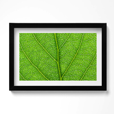 Obraz s rámem dekorativní Zelené listové žilky