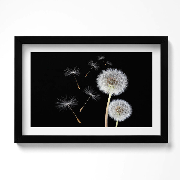 Obraz s rámem dekorativní Dvě pampelišky