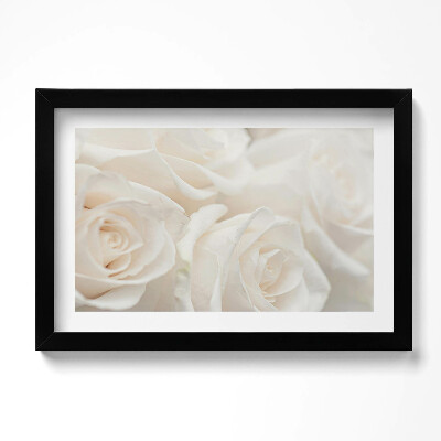 Obraz s rámem dekorativní Bílé jemné různé