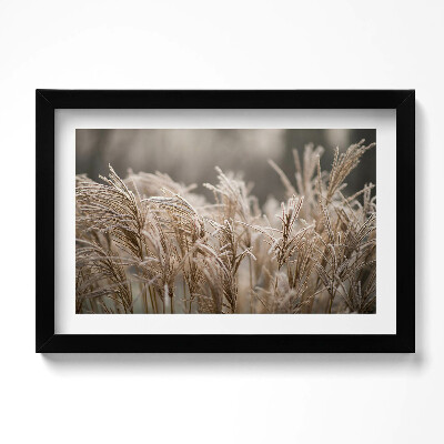 Obraz s rámem dekorativní Boho jemné trávy