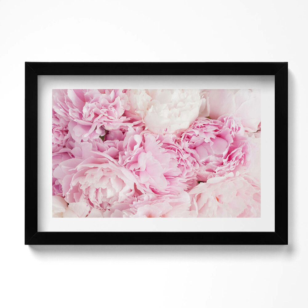 Obraz s rámem dekorativní Jemné květy pivoňky