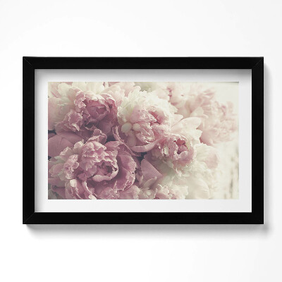 Obraz s rámem dekorativní Jemné květy pivoňky