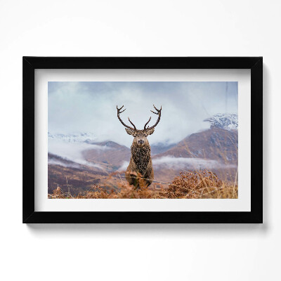 Obraz s rámem dekorativní Jelen na horské mýtině