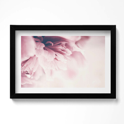 Obraz s rámem dekorativní Detailní záběr na okvětní lístky pivoňky