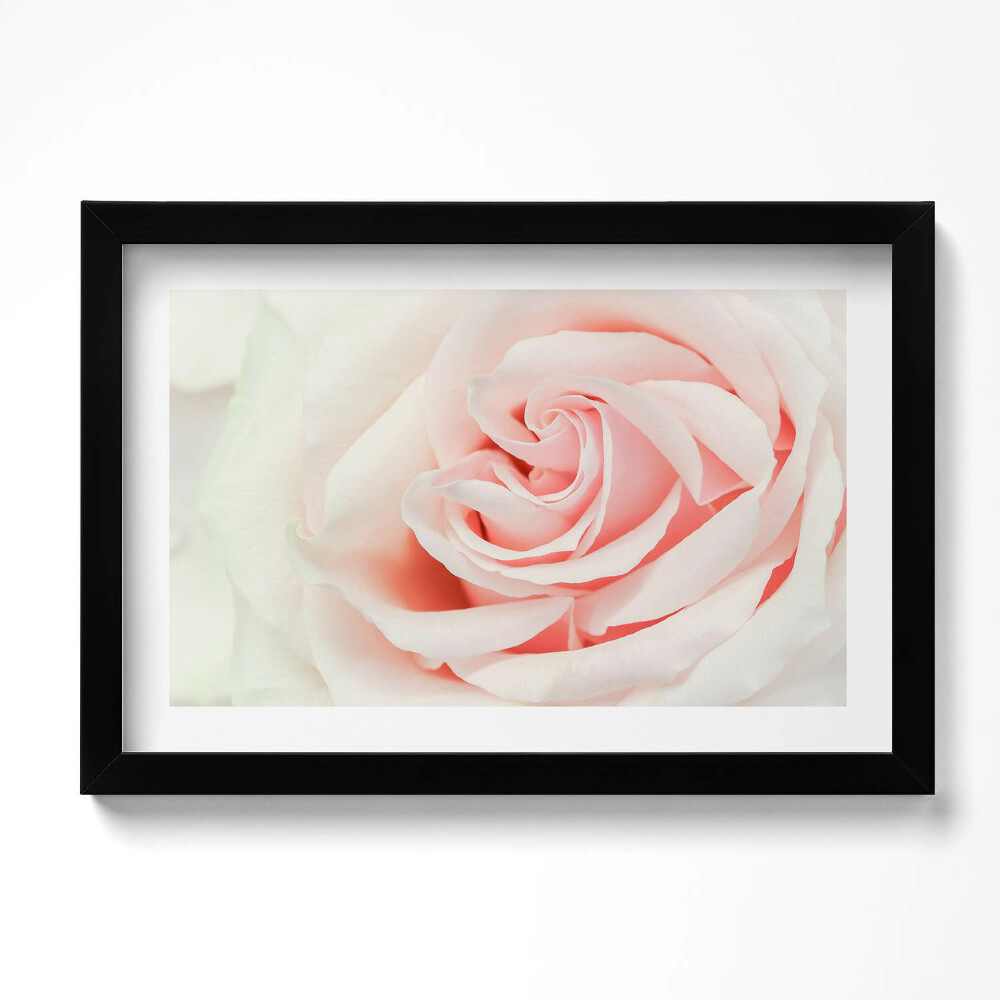 Obraz s rámem dekorativní Detail růžových lístků