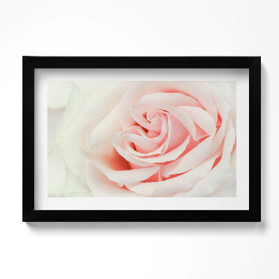 Obraz s rámem dekorativní Detail růžových lístků