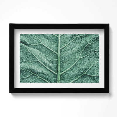 Obraz s rámem dekorativní Detail listových žil