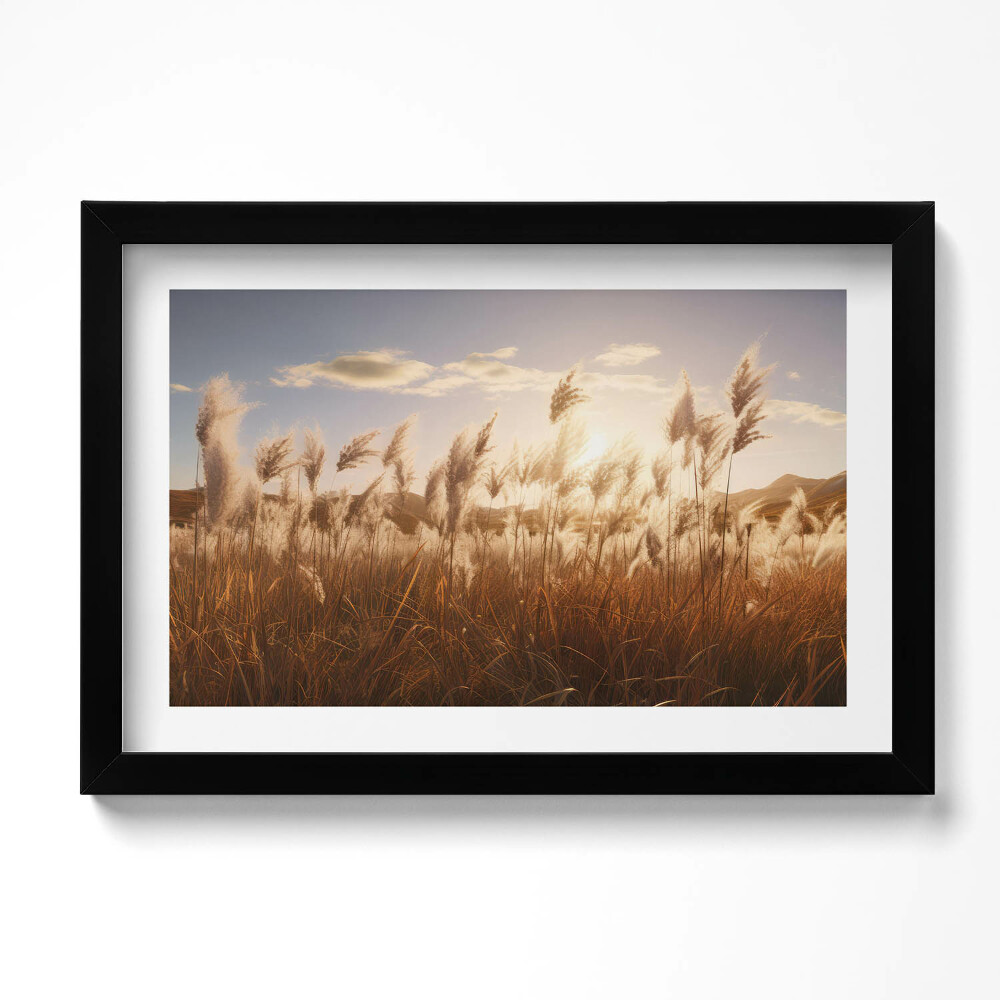 Obraz s rámem dekorativní Romantický západ slunce nad trávou