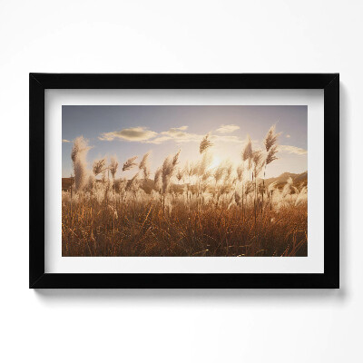 Obraz s rámem dekorativní Romantický západ slunce nad trávou