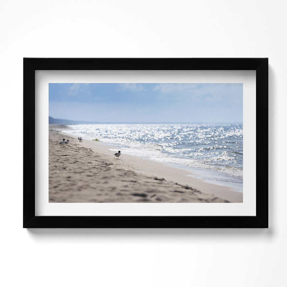 Obraz s rámem dekorativní Mořské vlny a pták na pláži