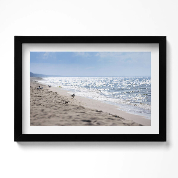 Obraz s rámem dekorativní Mořské vlny a pták na pláži