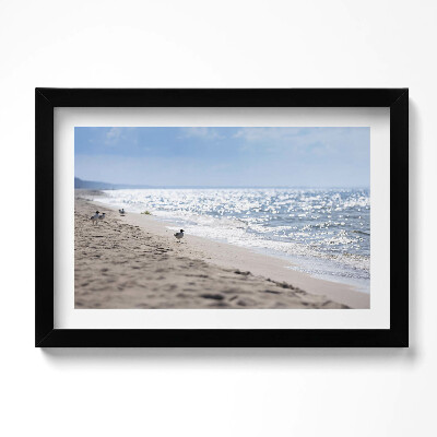 Obraz s rámem dekorativní Mořské vlny a pták na pláži